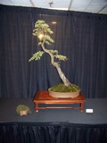 Annual Show 2011 - 22 2011